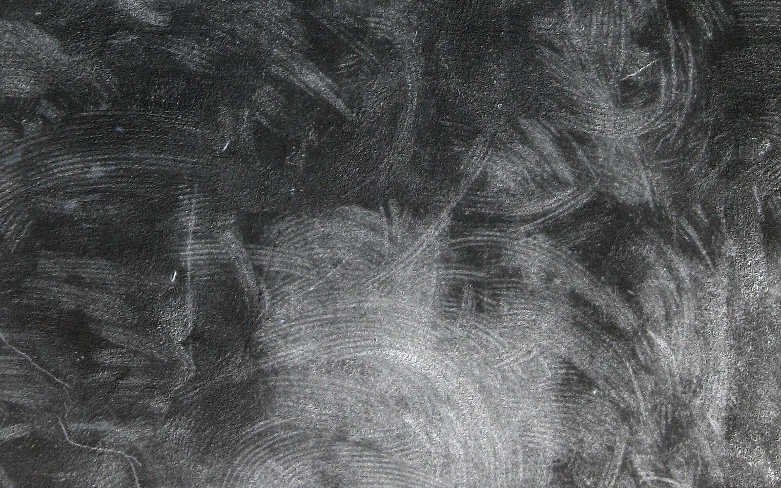 A close up of a black and white drawing of a dog (concrete, industry, black, tree, monochrome)