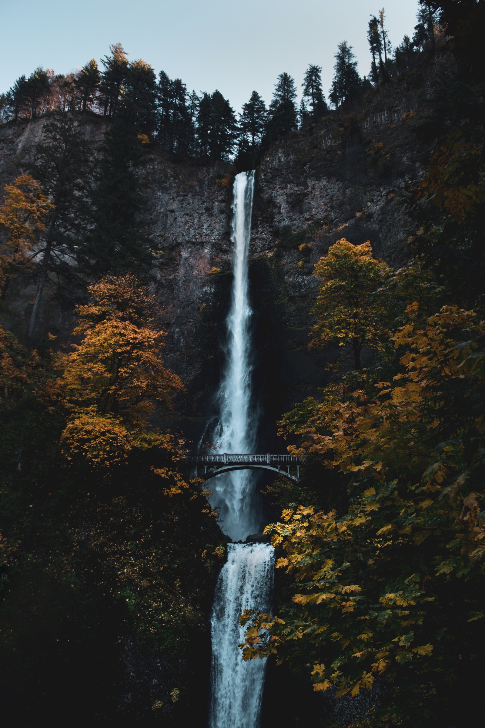 A view of a waterfall with a bridge over it in the woods (state park, watercourse, nature reserve, natural landscape, water feature)