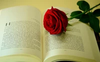 Rose rouge reposant sur les pages d'un livre ouvert