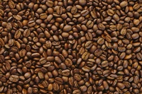 Reich geröstete jamaikanische Blue Mountain Kaffeebohnen