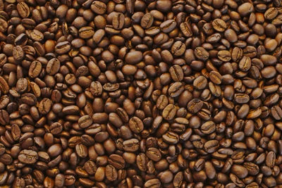 Richly Roasted Jamaican Blue Mountain Coffee Beans