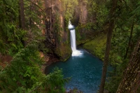 Cascata serena caindo em uma piscina tranquila, cercada por vegetação exuberante e árvores altas em um cenário vibrante de vida selvagem.