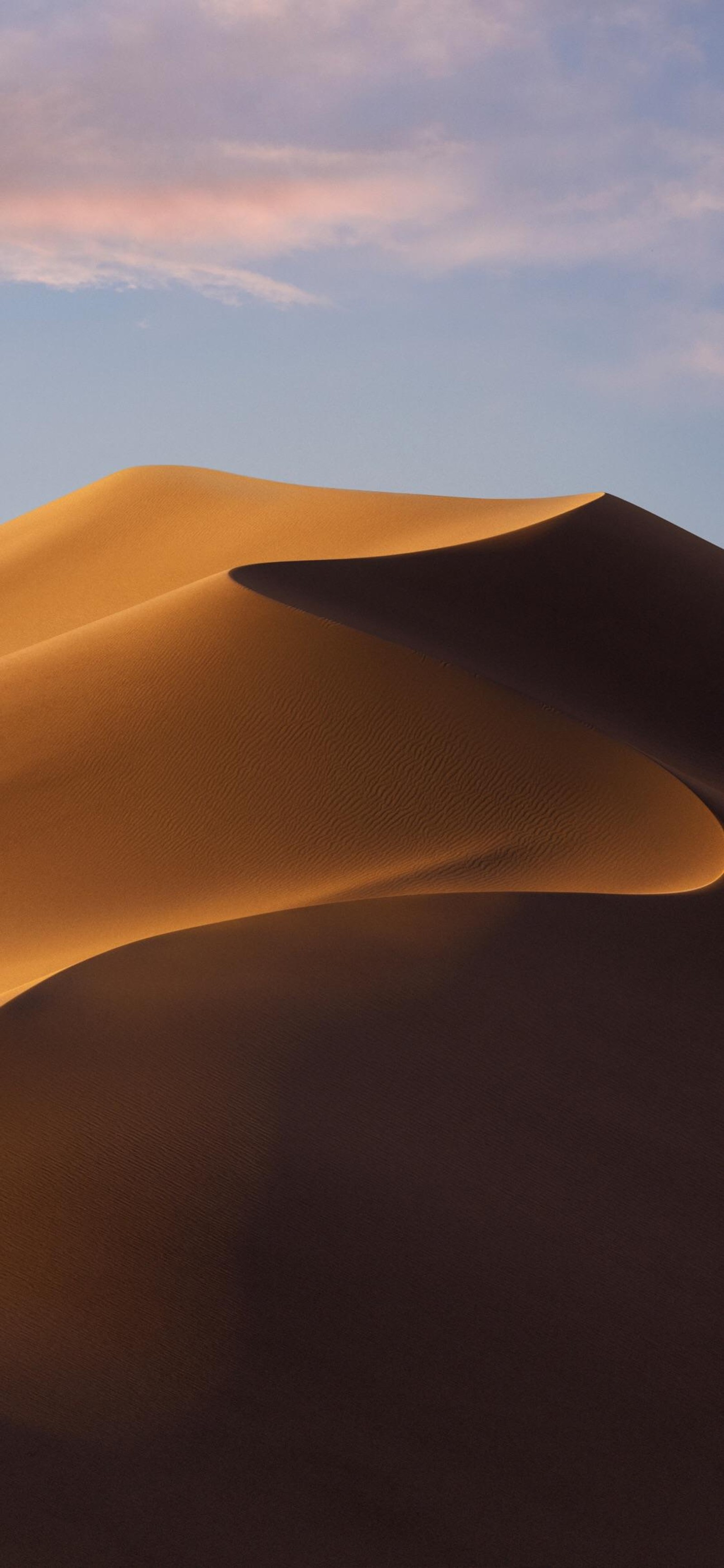 Arabische giraffen gehen durch die wüste mit einem himmelshintergrund (äpfel, ios, betriebssystem, braun, wolke)