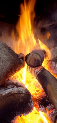 Chamas Ardentes Abraçando Carvão e Madeira