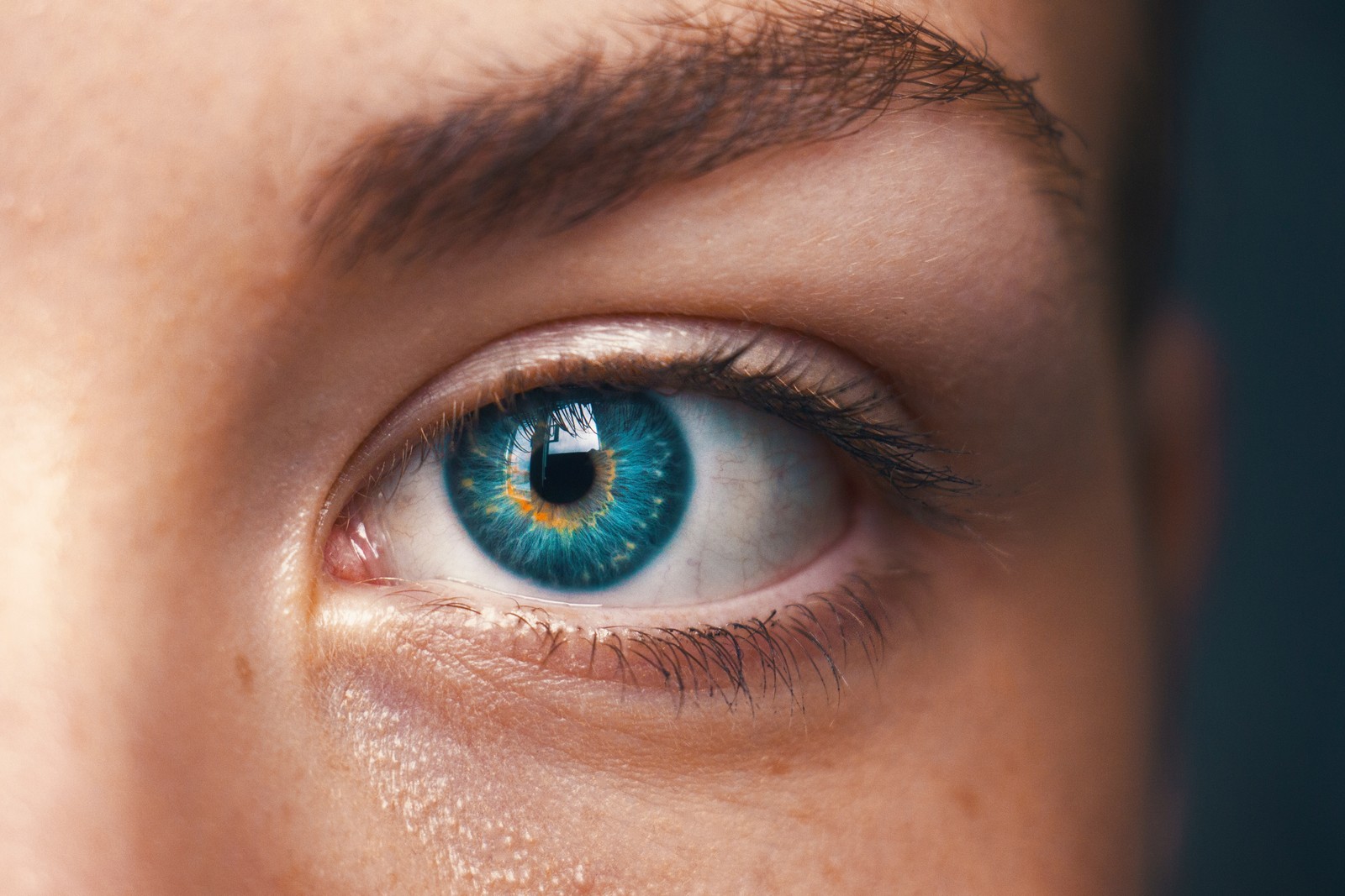 A close up of a person's eye with a blue iris (eyebrow, face, eye, blue, iris)