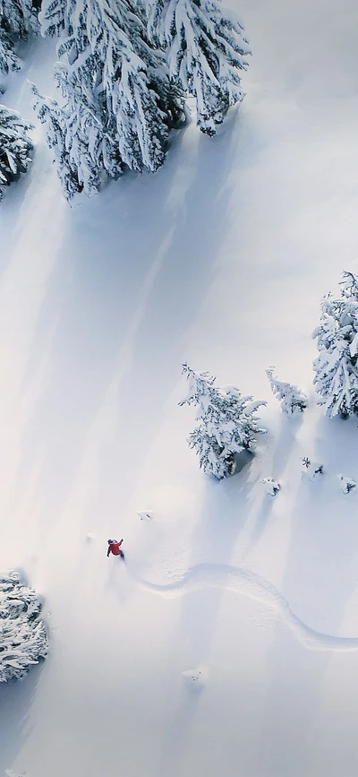 Solitary Adventurer in a Snow-Covered Landscape