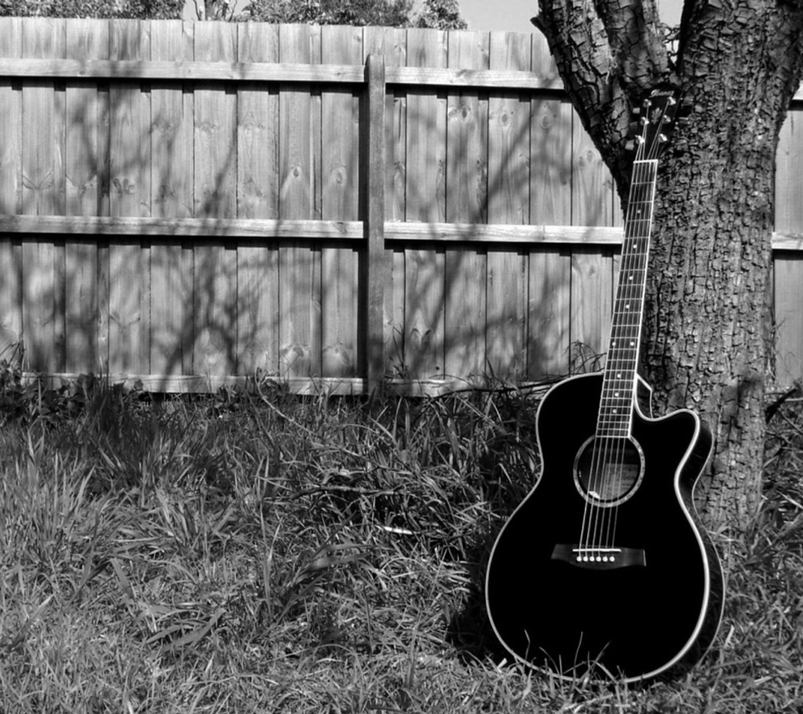 Guitarra apoyada contra un árbol en un patio con una cerca al fondo (genial, jardín, guitarra, instrumento, música)