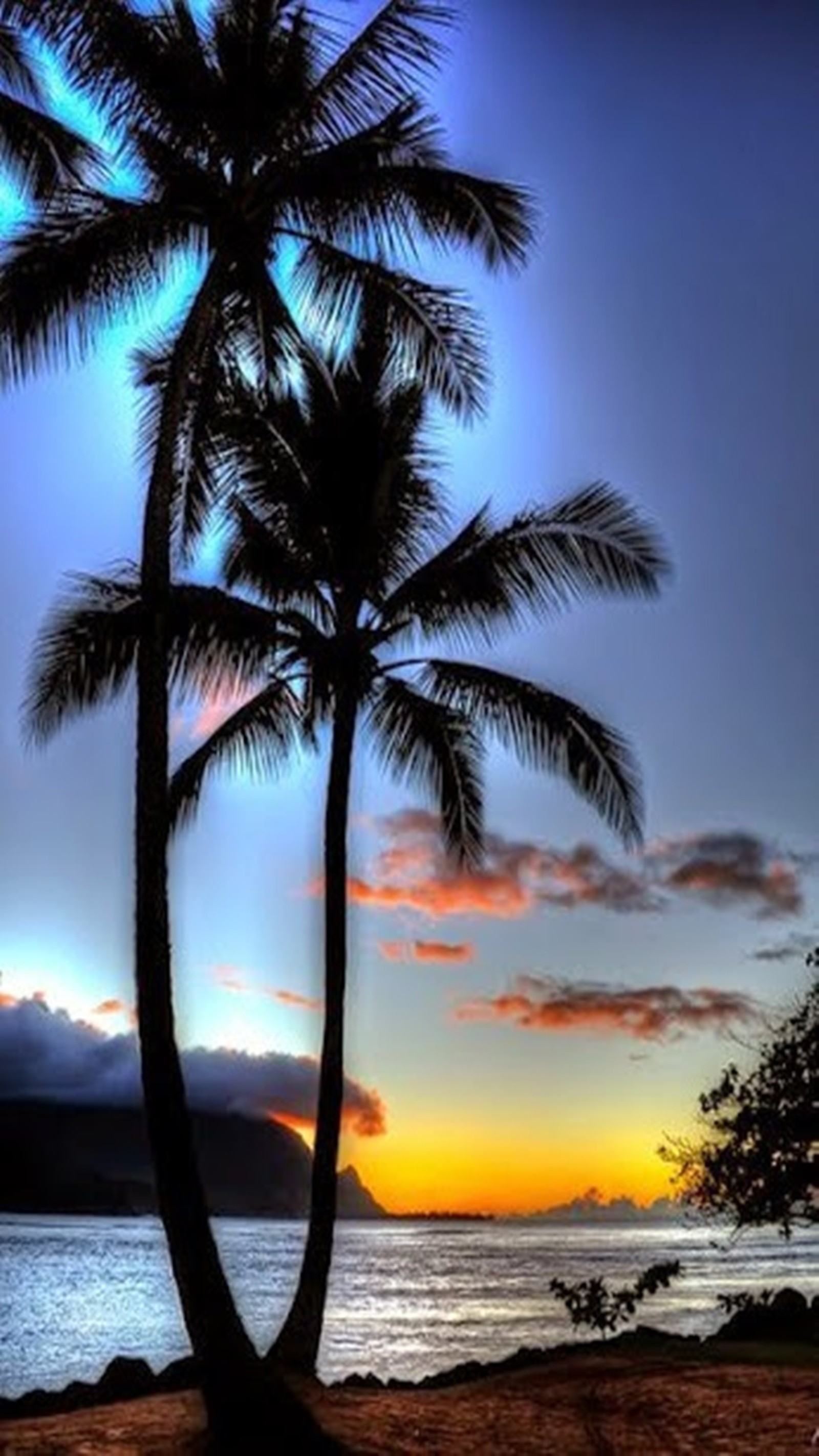 A view of a beach with two palm trees and a sunset (landscape, nature)