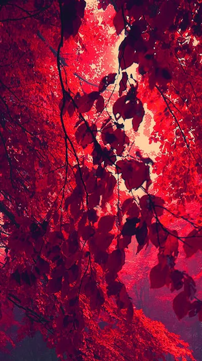 red, red season, red tree