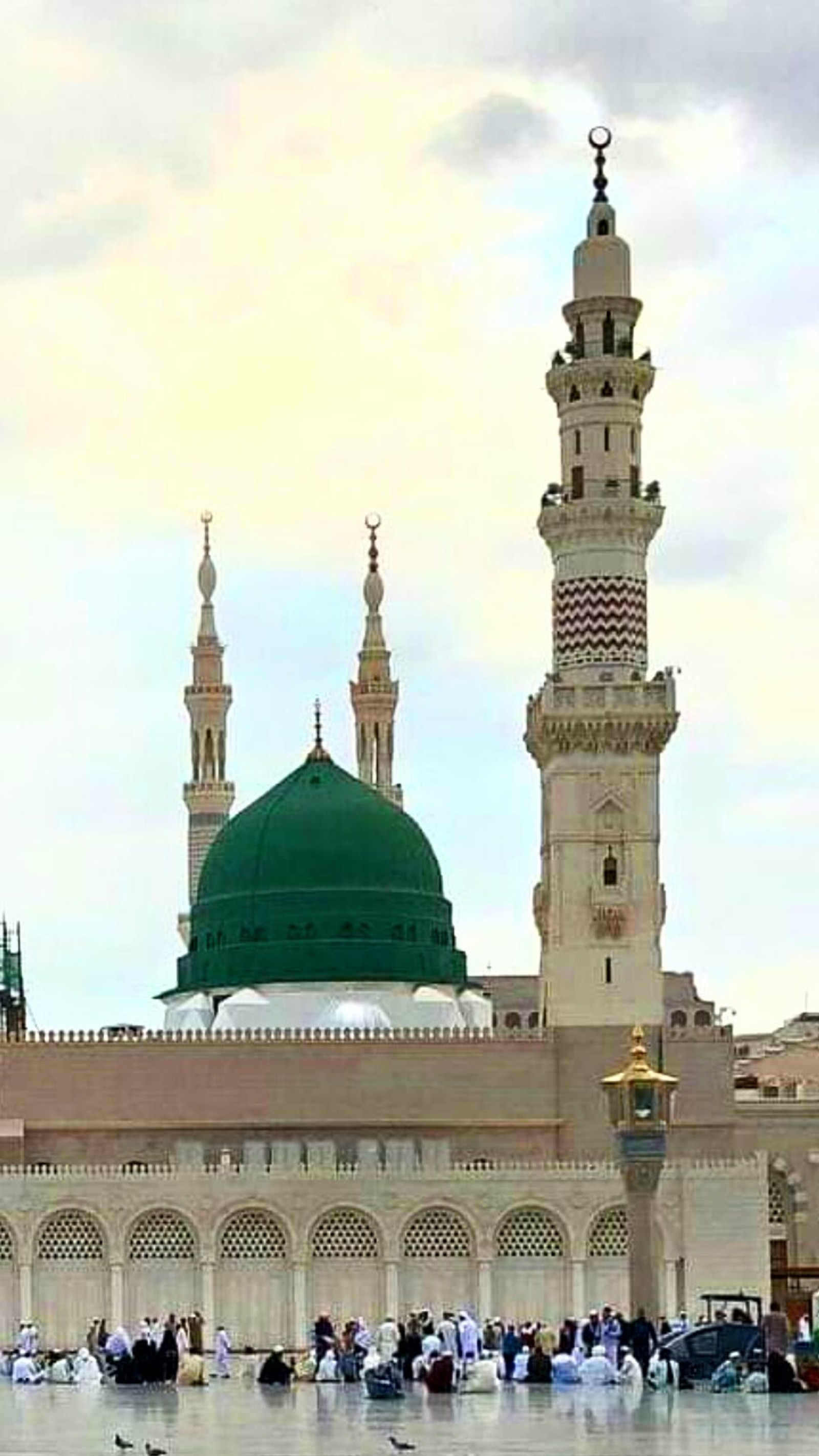 Girafes devant un dôme vert et un bâtiment blanc. (mosquée, madina, islamique, masjid)