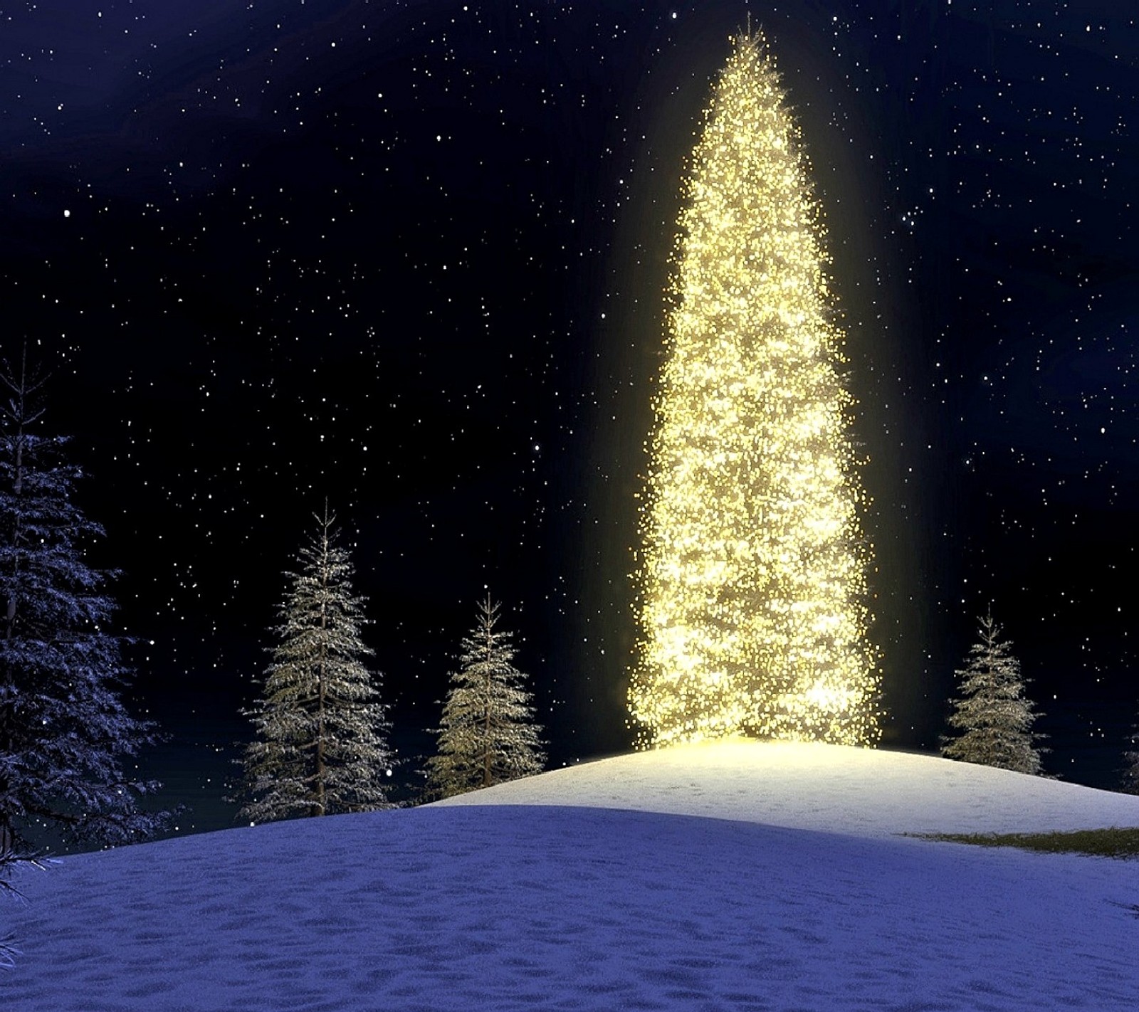 A large christmas tree is lit up in the dark of night (merry christmas)