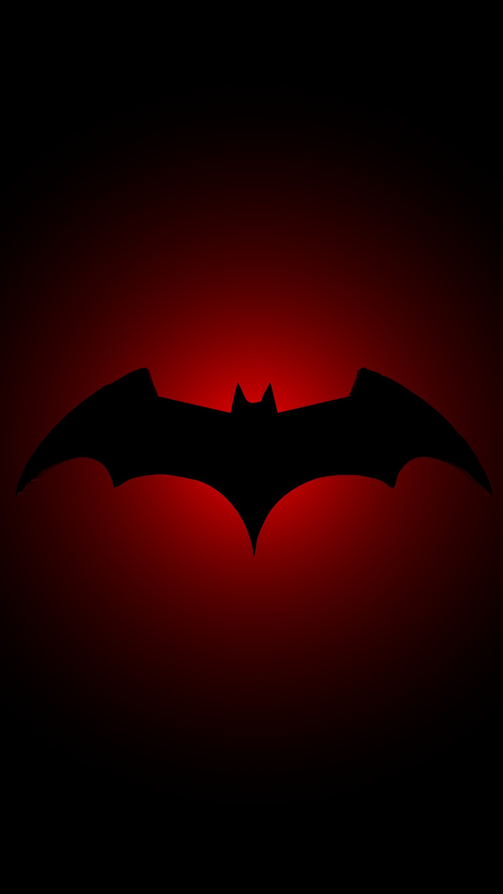 batman, begins, robin, superman, wander Download Wallpaper