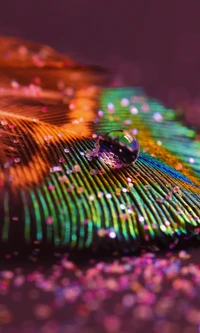 Vibrant Feather with Glittering Droplet