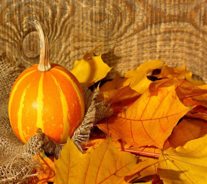 Auf einem tisch steht ein kleiner kürbis und einige blätter (herbst, dekoration)