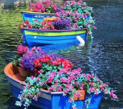 hermoso, barco, dinghy, flor, lago