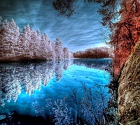 Serene Reflection of Frosted Trees on Tranquil Waters