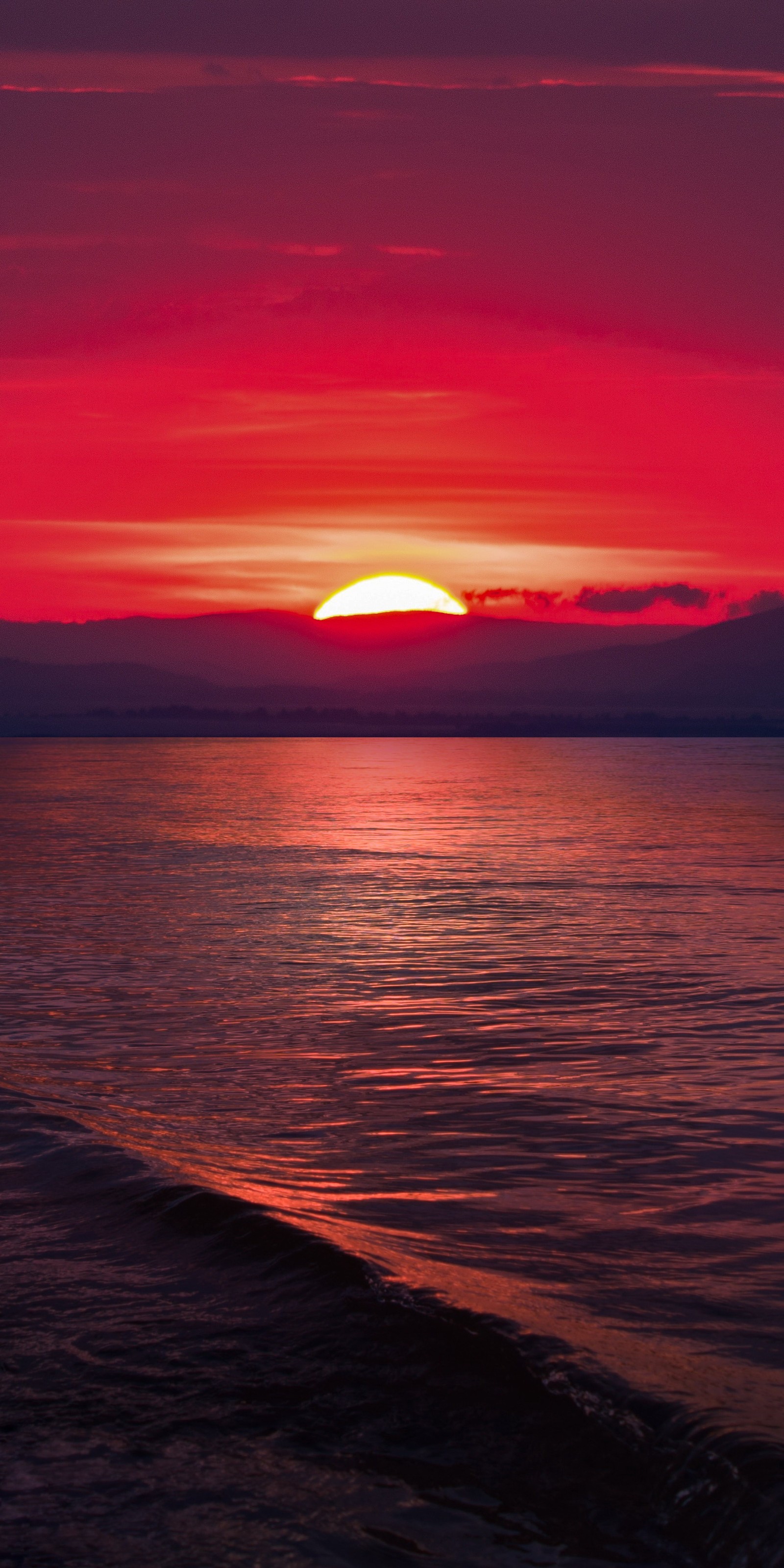 Coucher de soleil sur l'océan avec un oiseau solitaire volant au loin (eau, nuage, atmosphère, crépuscule, orange)