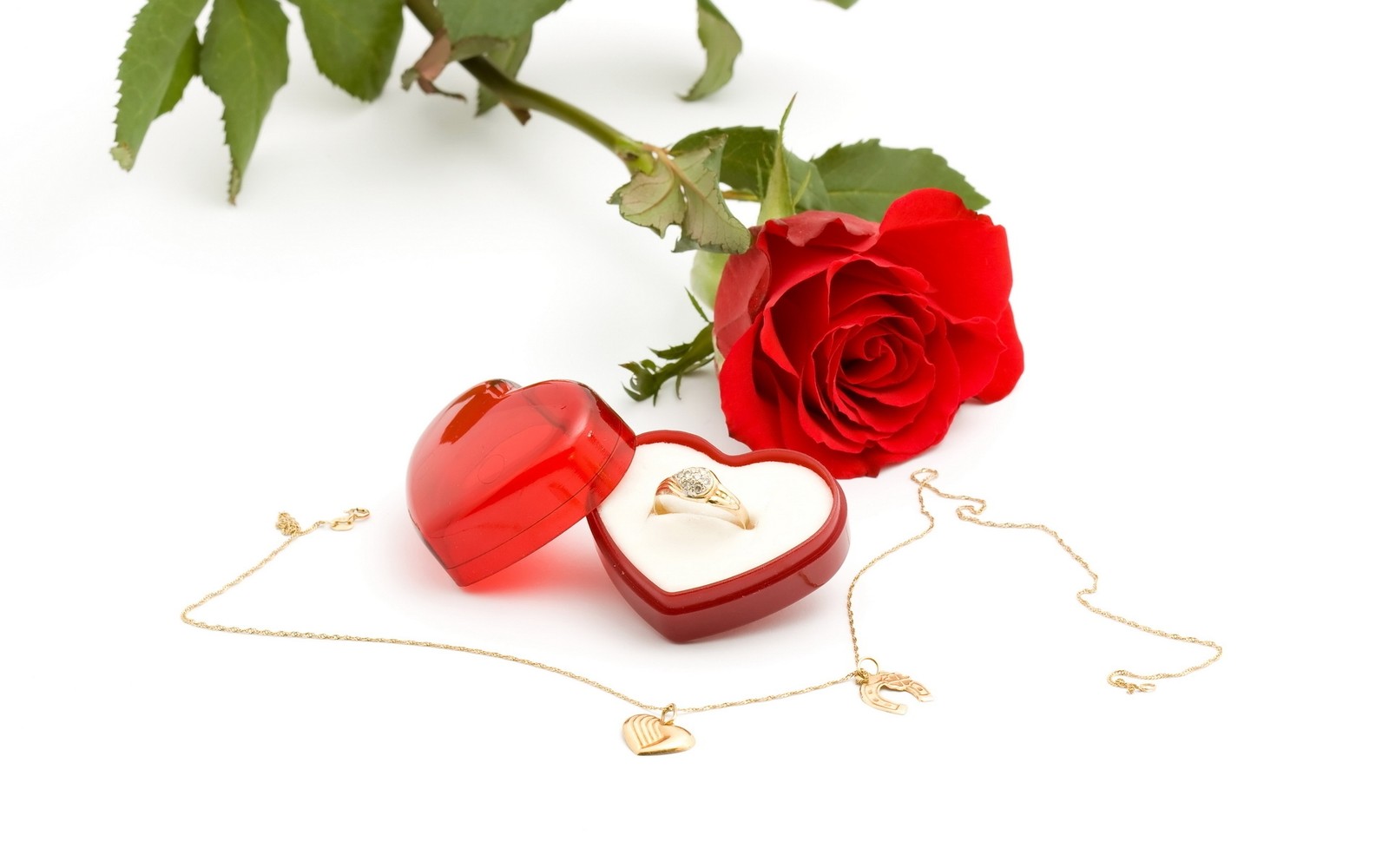 A close up of a red rose with a heart shaped box and a gold ring (red, rose, heart, garden roses, artificial flower)