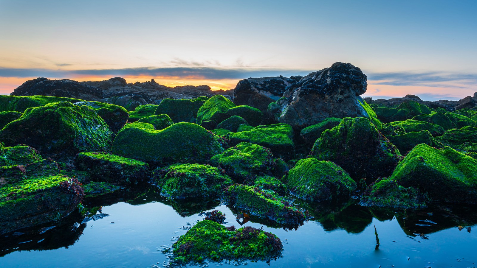 Um close de uma pedra coberta de musgo verde ao lado de um corpo d'água (costa, pedras verdes, por do sol, natureza, papel de parede 4k)