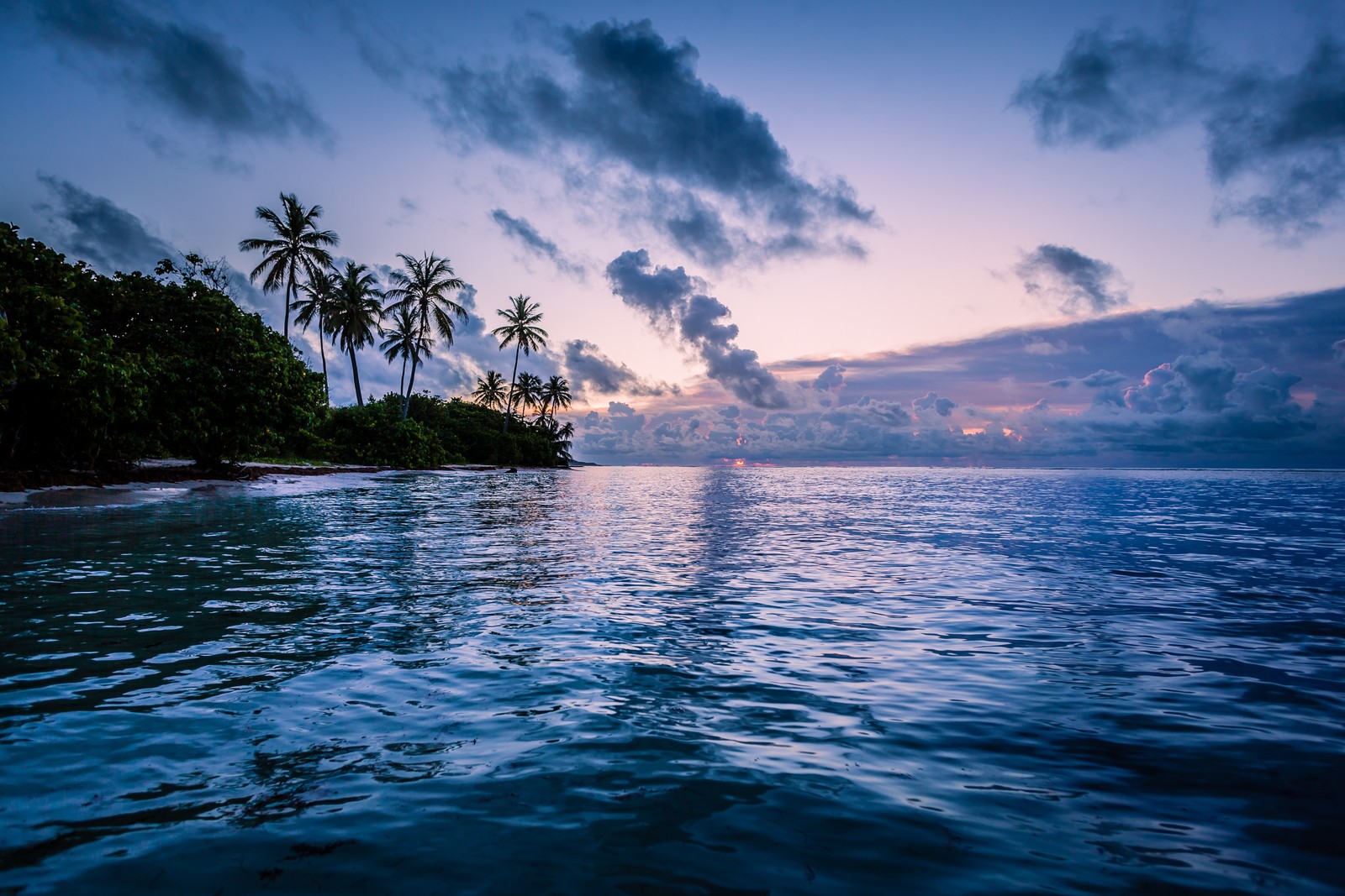 Une vue d'une plage avec des palmiers et un plan d'eau (nature, mer, île, voyage, nuage)