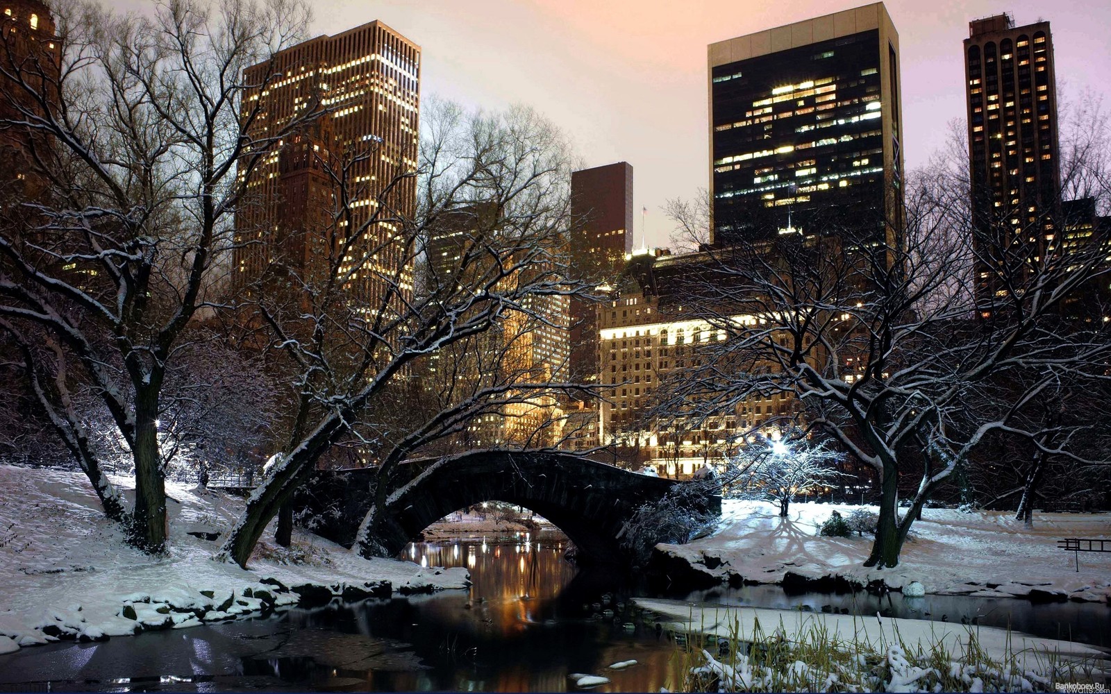 Une vue panoramique d'un pont au-dessus d'un petit ruisseau dans un parc urbain (central park, hiver, neige, eau, arbre)