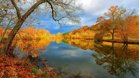 autumn, reflection, nature, leaf, water wallpaper