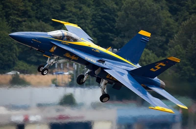 Caza en maniobra dinámica: actuación de los Blue Angels