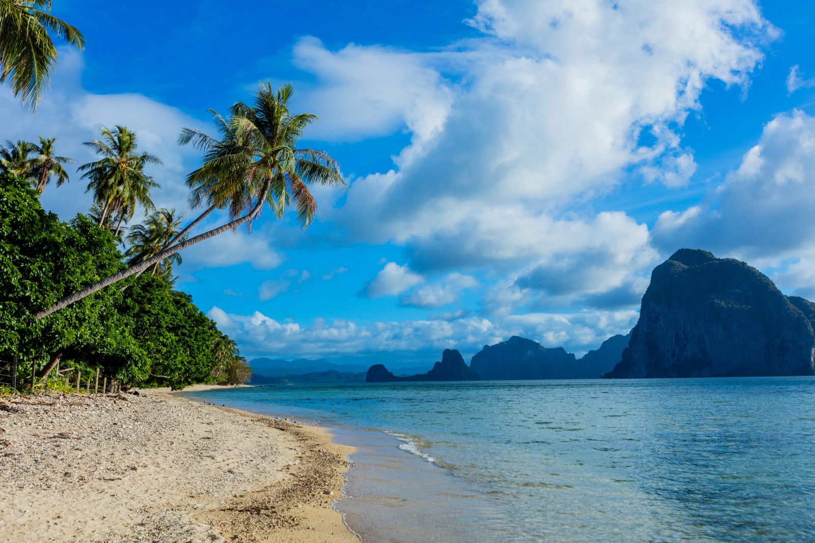 Vista de uma praia com palmeiras e uma montanha ao fundo (praia, trópicos, mar, costa, formas costeiras e oceânicas)