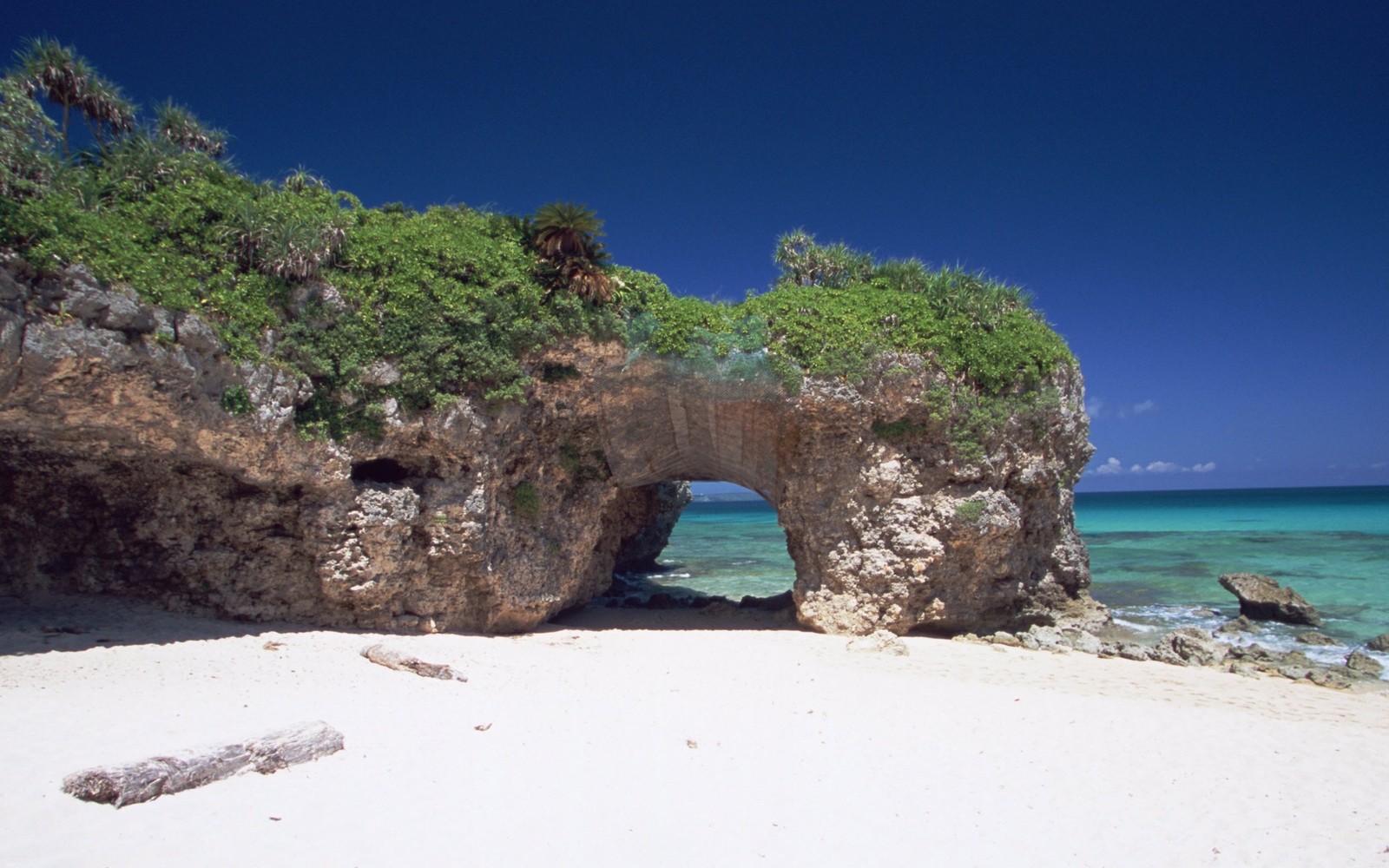 Hay una gran formación rocosa en la playa con un árbol creciendo de ella (playa, arco natural, mar, formación, roca)