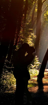 Abraço romântico em meio a uma floresta iluminada pelo sol