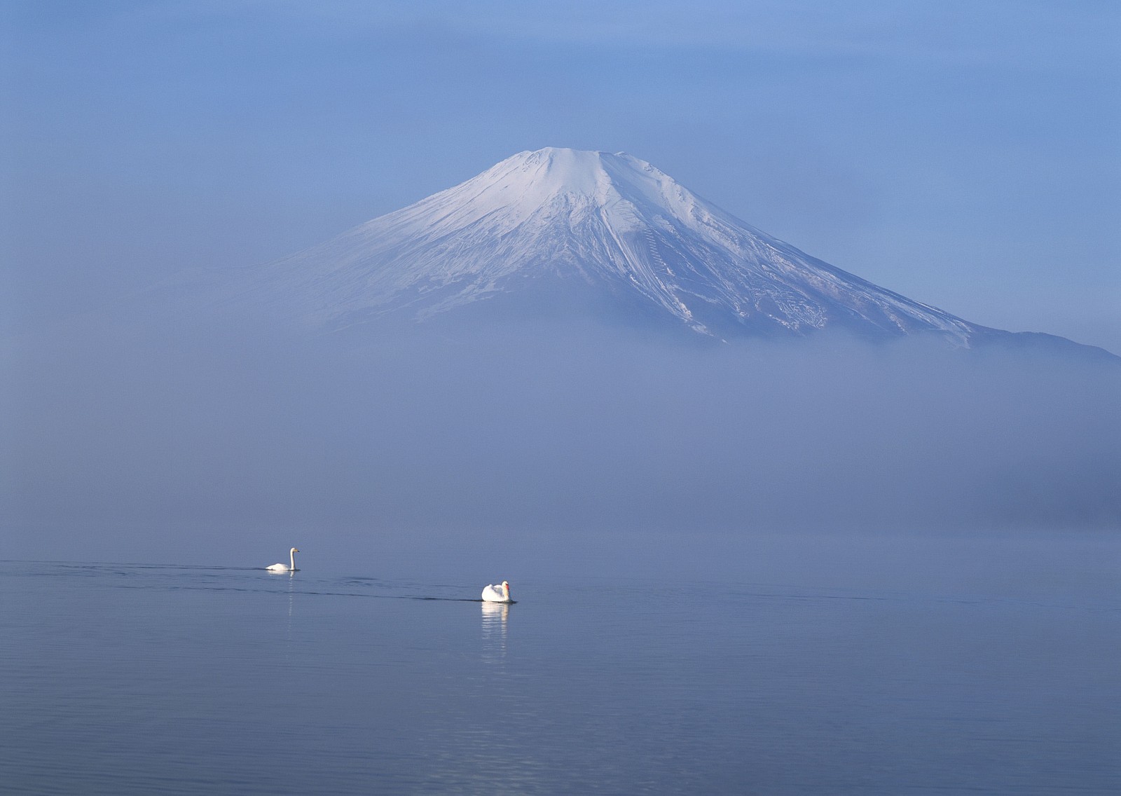 mount fuji, stratovolcano, mountain, sea, calm wallpaper