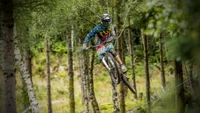 Ciclista de montaña freeride en acción entre el bosque