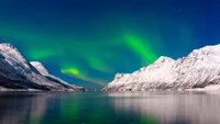 Faszinierende Aurora über dem arktischen Fjord: Eine atemberaubende Berglandschaft