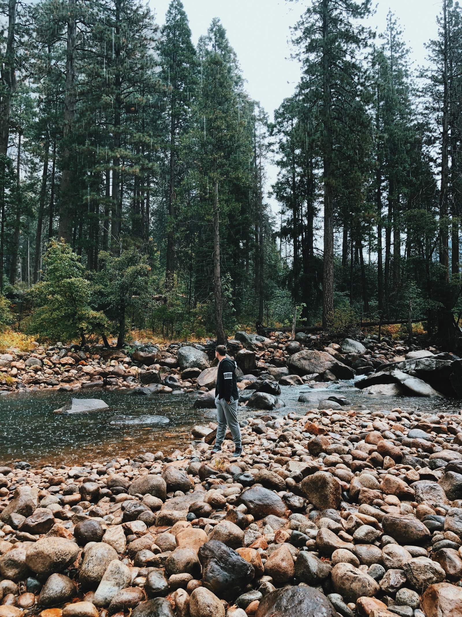 Un homme se tient sur la berge rocheuse d'une rivière dans les bois (sauvage, eau, lit de ruisseau, forêt ancienne, environnement naturel)