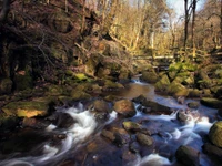 body of water, nature, water, watercourse, creek