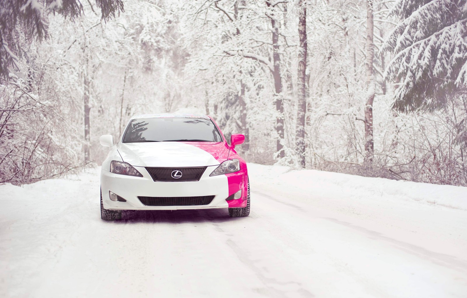 Ein arabisches auto mit einem rosa band auf der motorhaube fährt eine verschneite straße entlang (lexus, lexus is, auto, lexus lfa, sportwagen)