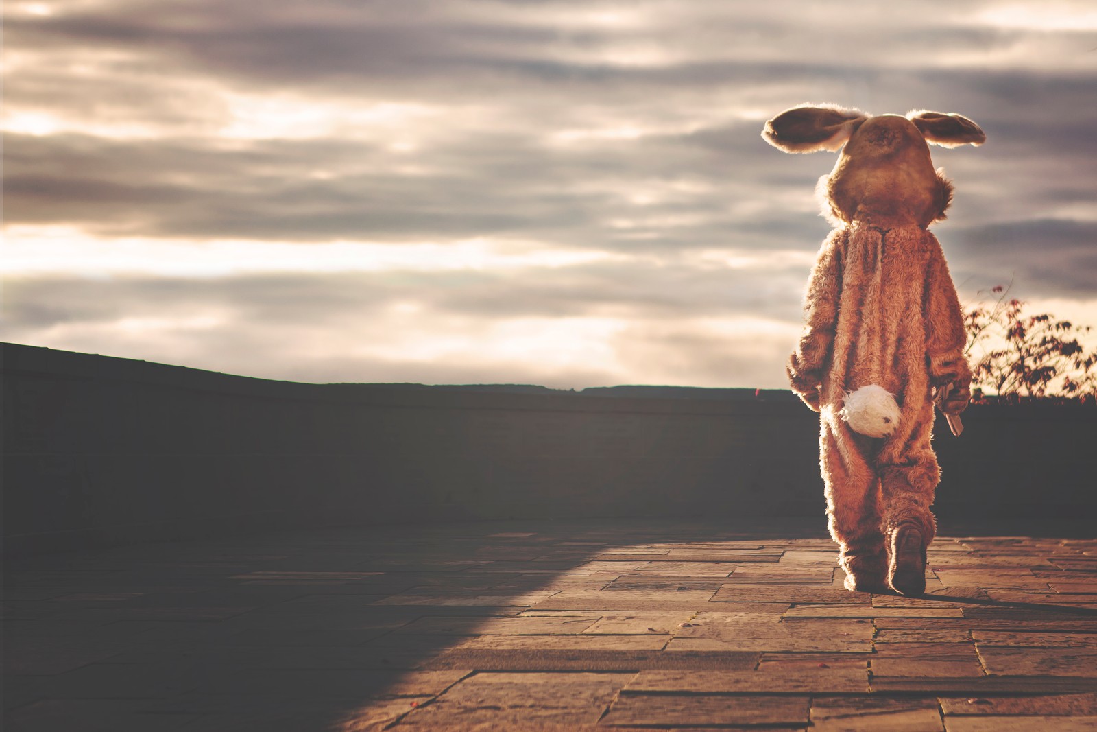 Hay un perro vestido de vaca caminando por un camino de ladrillo (paisaje, pascua, cervato, liebre, madera)