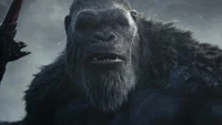 king kong, godzilla x kong el nuevo imperio, godzilla x kong the new empire, película