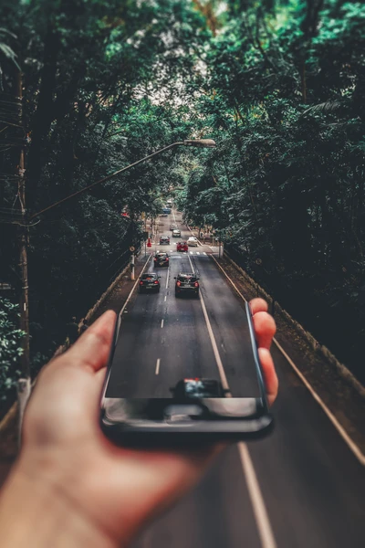 Urban Jungle: Cars Navigating a Green Canopy