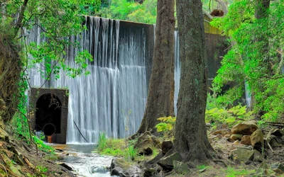 Cachoeira tranquila fluindo através da vegetação florestal exuberante