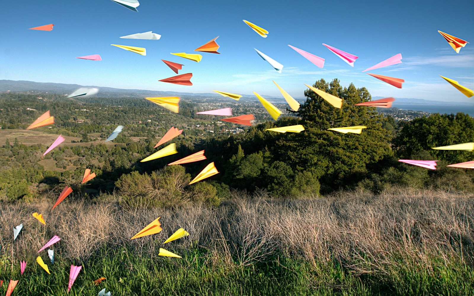 Hay muchos aviones de papel volando en el aire sobre un campo (vuelo, pradera, naturaleza, papel)