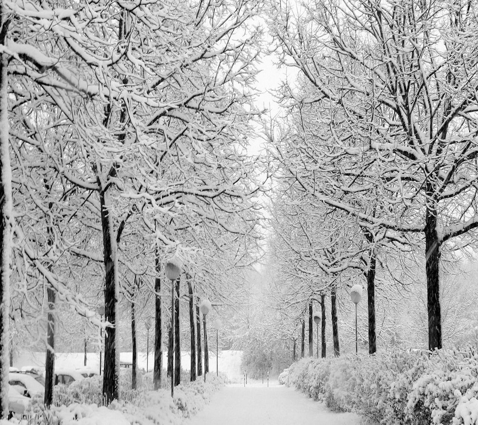 Lade landschaft, winter Hintergrund herunter