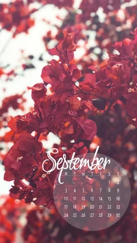 cal, calendar, september, zcalsep18 wallpaper