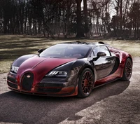 Sleek Red and Black Bugatti Veyron on a Scenic Path.