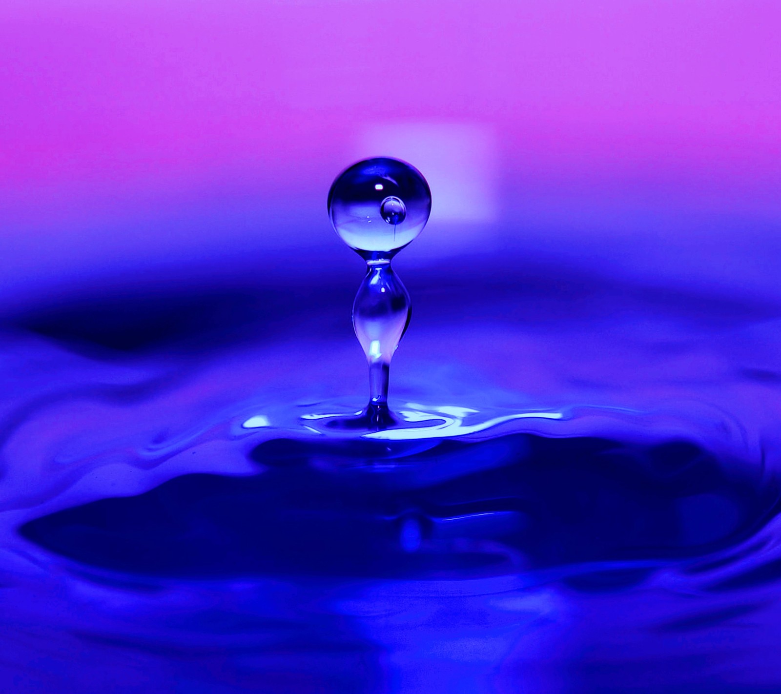 Un gros plan d'une goutte d'eau sur fond violet (abstrait, bleu, couleurs, goutte, rose)