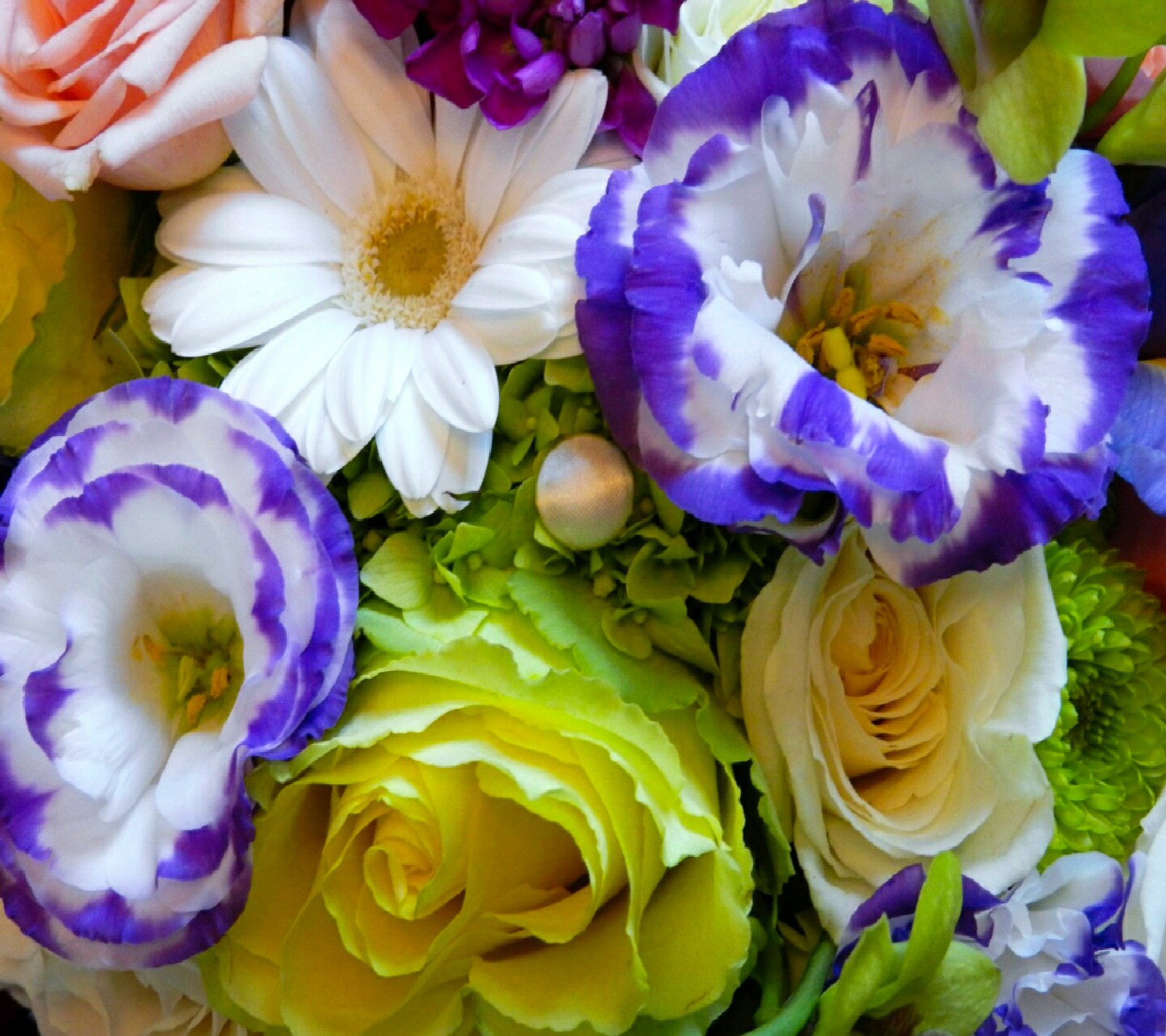 There is a close up of a bouquet of flowers with purple and white flowers (flowers, garden, nature, nice, wallpapers)