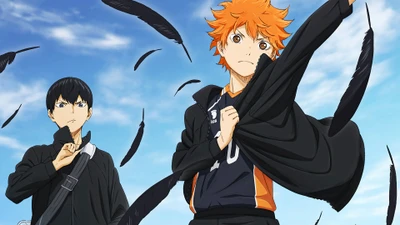 haikyuu, anime, shoyo hinata, tobio kageyama