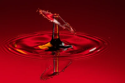 water, liquid, red, drop, fluid