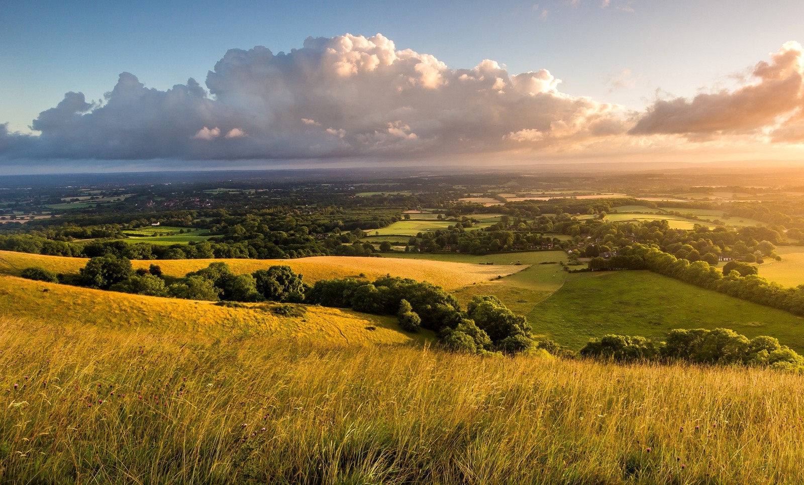 Vue d'un champ avec quelques arbres et quelques nuages (nature, colline, prairie, plaine, ciel)