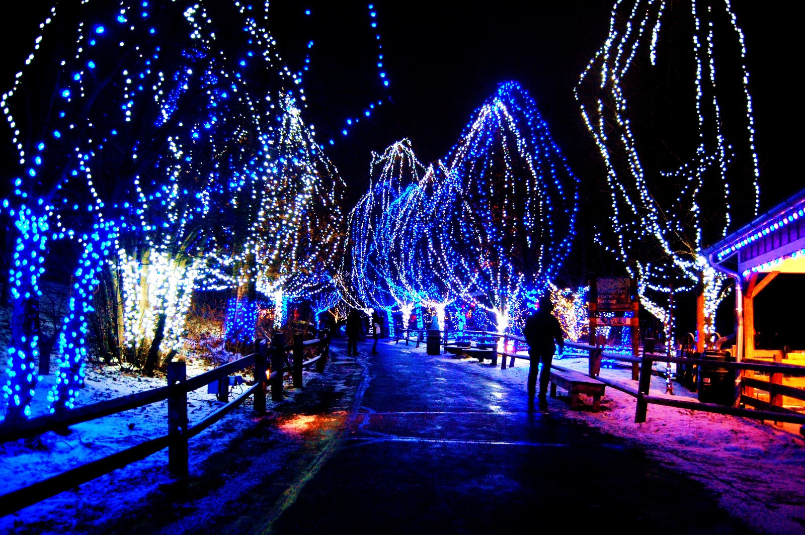 Lade weihnachtstag, weihnachtslichter, blau, licht, beleuchtung Hintergrund herunter